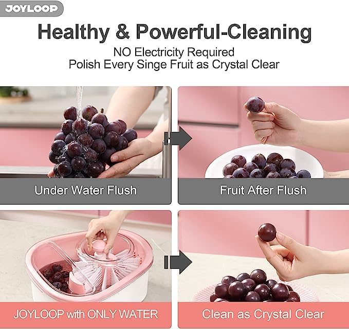 5GYLOOP Fruit Cleaning Device - Innovative and Efficient Cleaning Solution