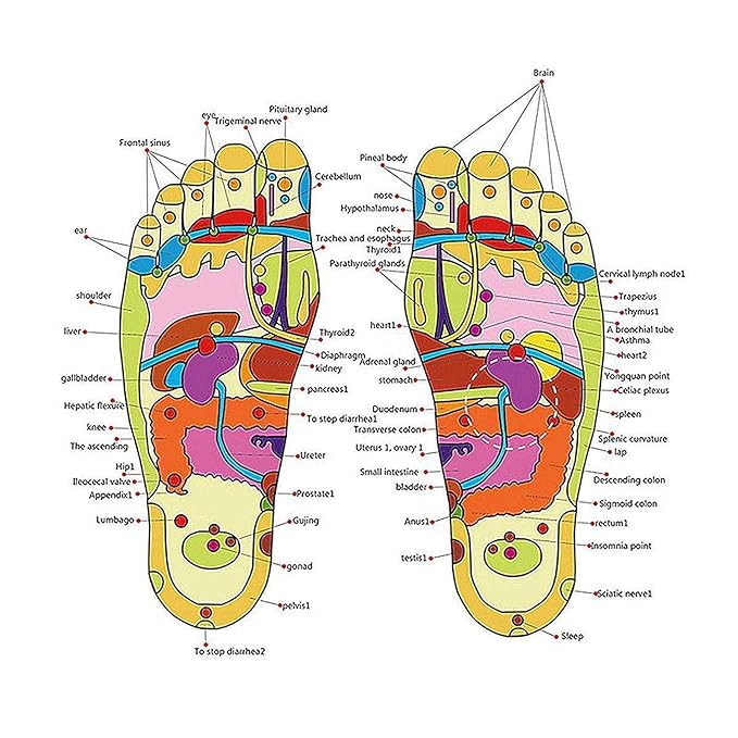 Natural Foot Slippers Massager - Comfort and Relaxation for Your Feet