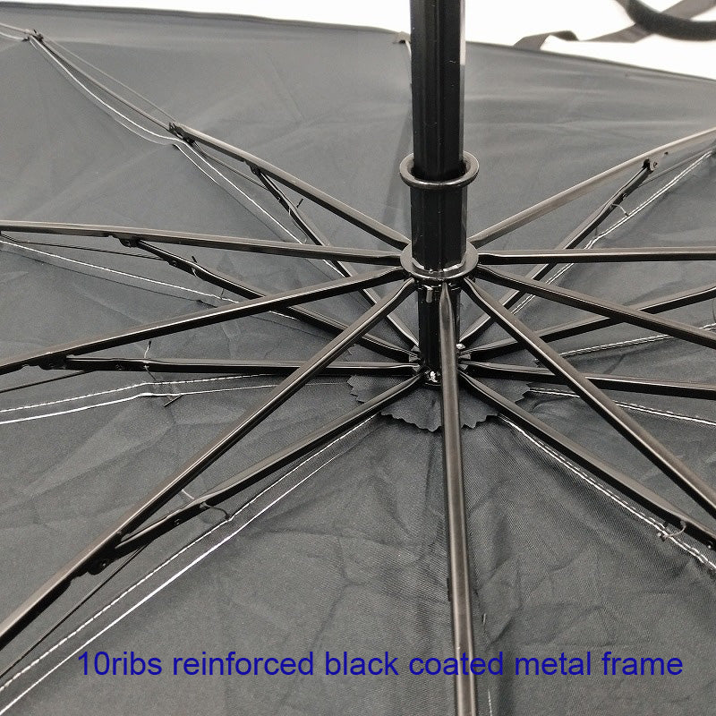 Car Umbrella